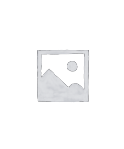 محافظ و ضربه گیر